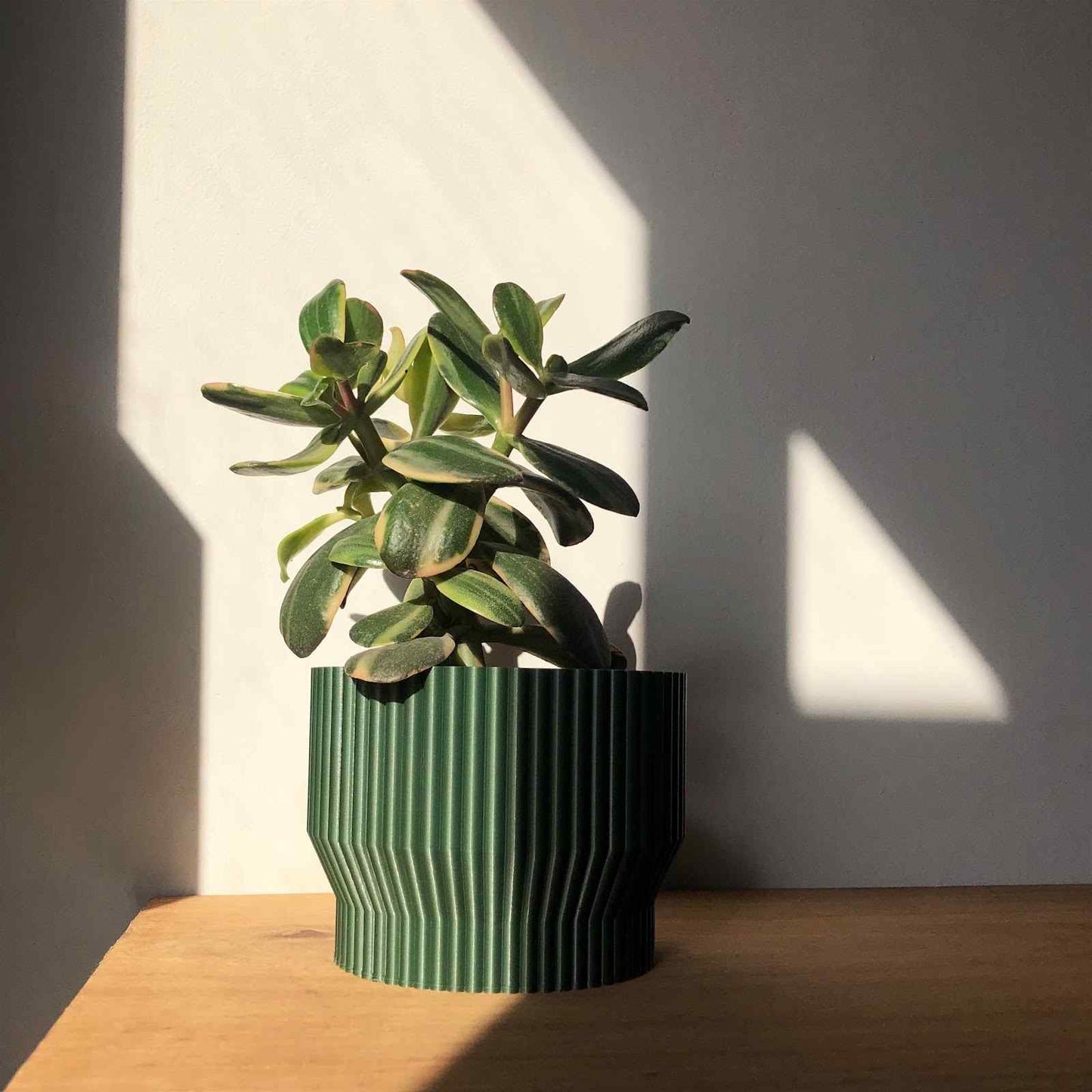 Niza Pot