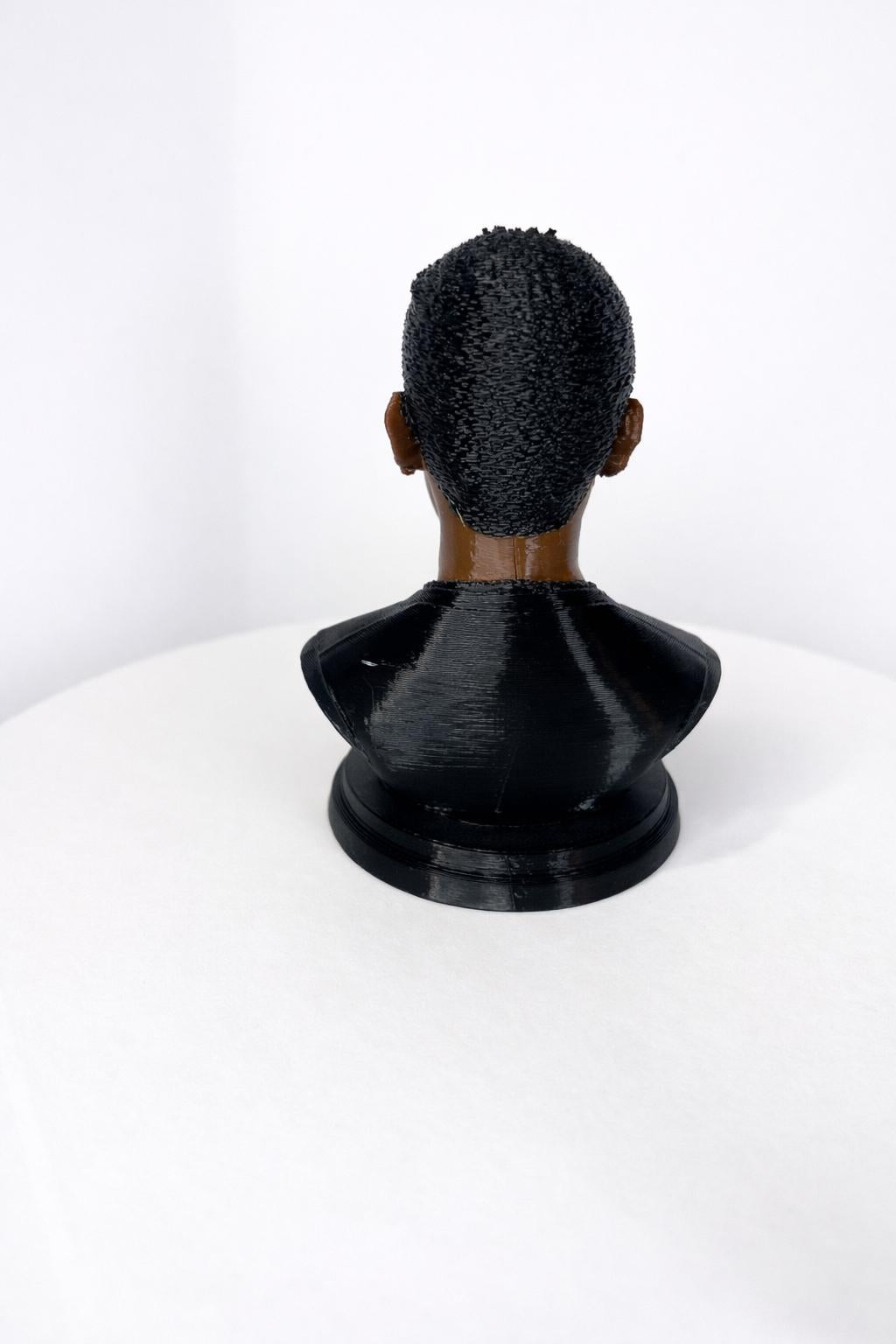 Custom 3D Printed Bust from Your Photo - Colour
