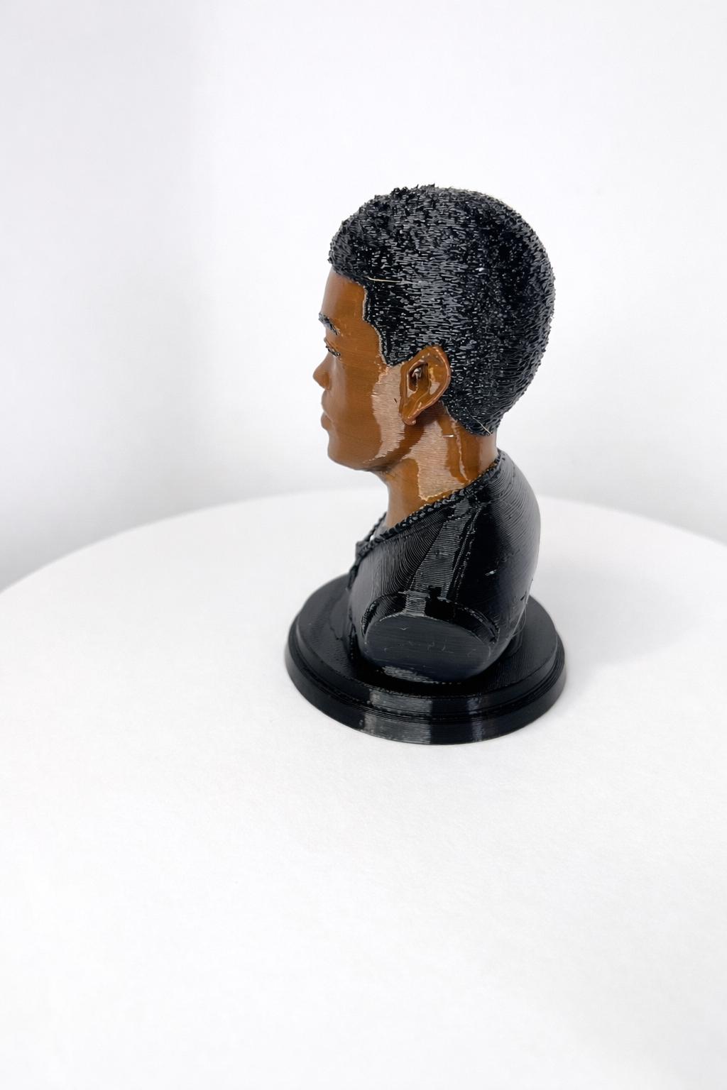 Custom 3D Printed Bust from Your Photo - Colour