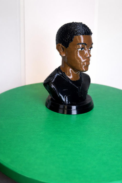 Custom 3D Printed Bust from Your Photo - Colour