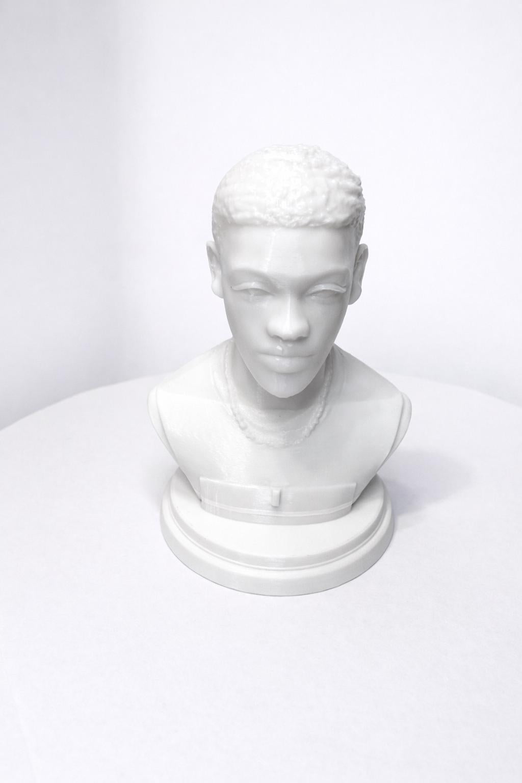 Custom 3D Printed Bust from Your Photo - Colour